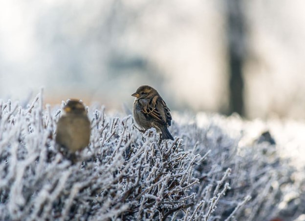 Rozbřesk: Strach má jméno omikron. Evropskou ekonomiku čeká těžká zima