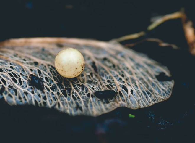 Perly týdne: Ceny nemovitostí nabírají dech, čínský konkurenční tlak u elektromobilů sílí