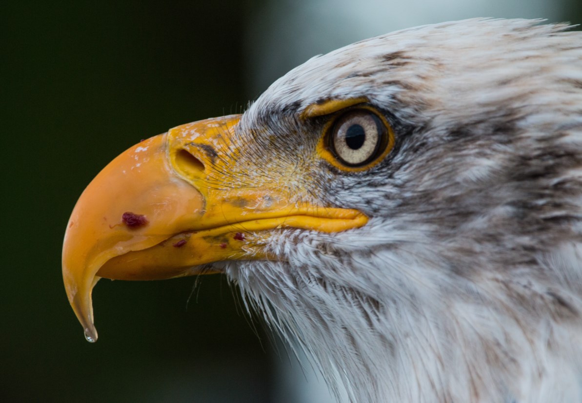 Bill Gross: Další vývoj inflace, návratnosti investičních aktiv a správné nastavení monetární politiky