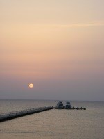 Porušení péče řádného hospodáře: Jak mohou členové orgánů a společnosti vypořádat újmu?