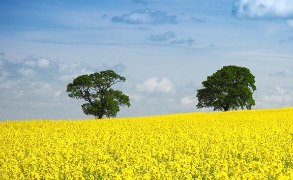 Zelenskyj přirovnal ruskou blokádu ukrajinského Mariupolu k obléhání Leningradu. V zasaženém divadle se mohlo ukrývat až 1 200 lidí