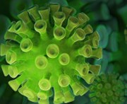 Analýza Fidelity International: Příležitosti v době koronaviru