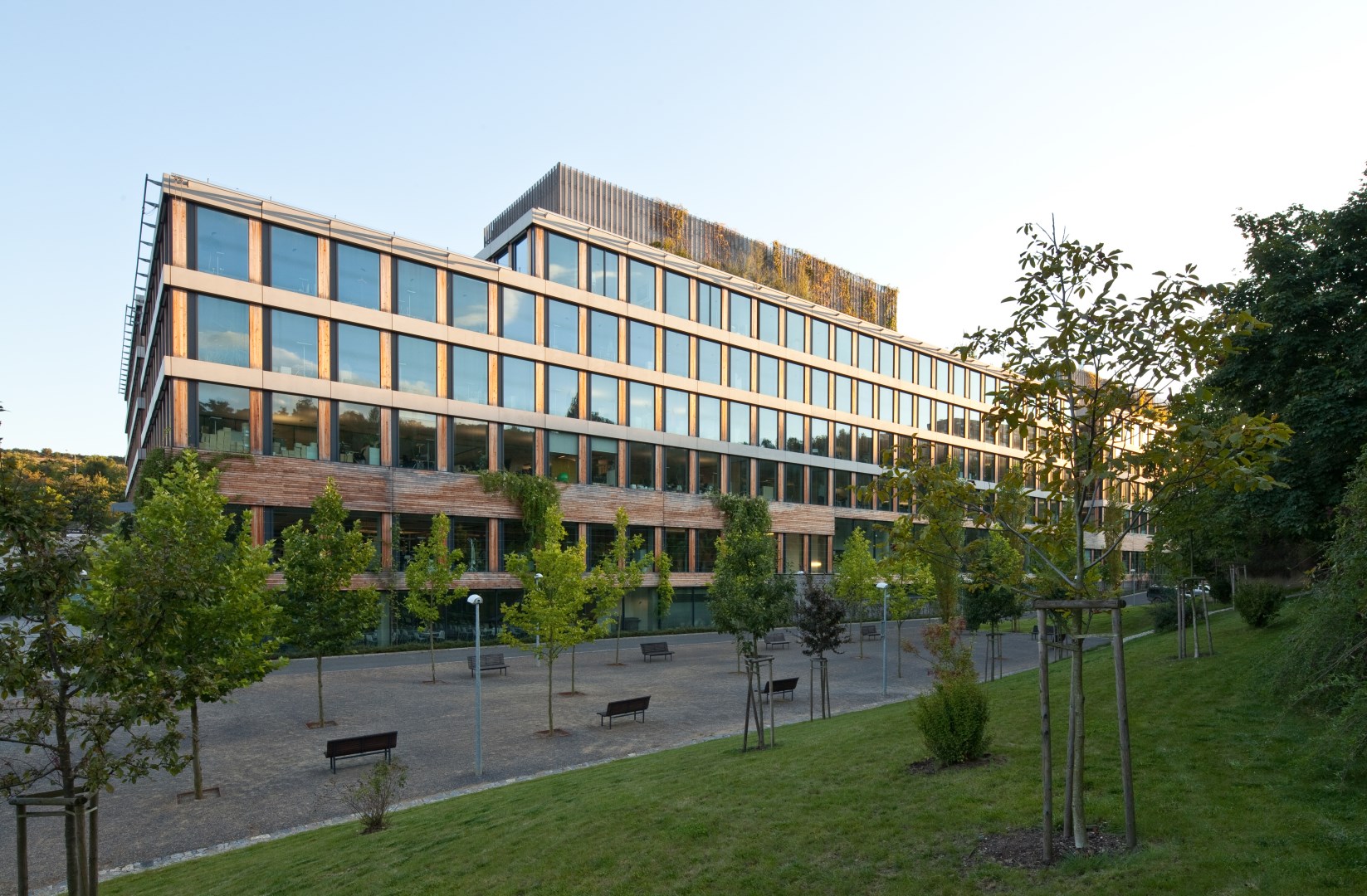 Skupina ČSOB v roce 2025: Silný růst financování bydlení a investic