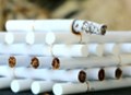 Philip Morris ČR vyplatí za loňský rok hrubou dividendu 1310 korun