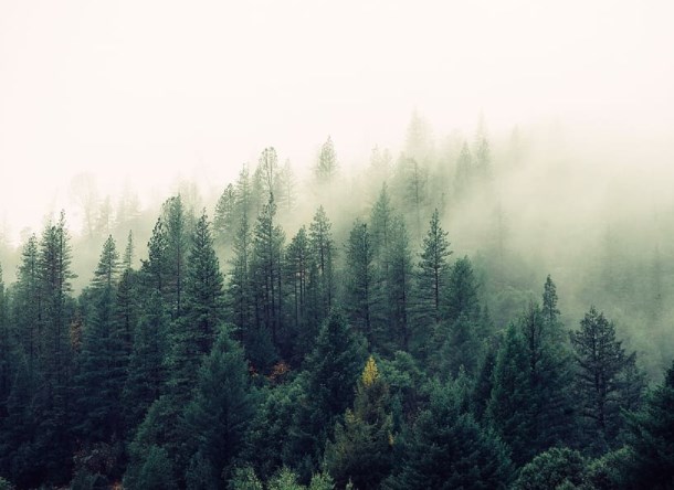 Po včerejších výprodejích míří dnešní futures do zeleného, Česká zbrojovka oznámila výsledky