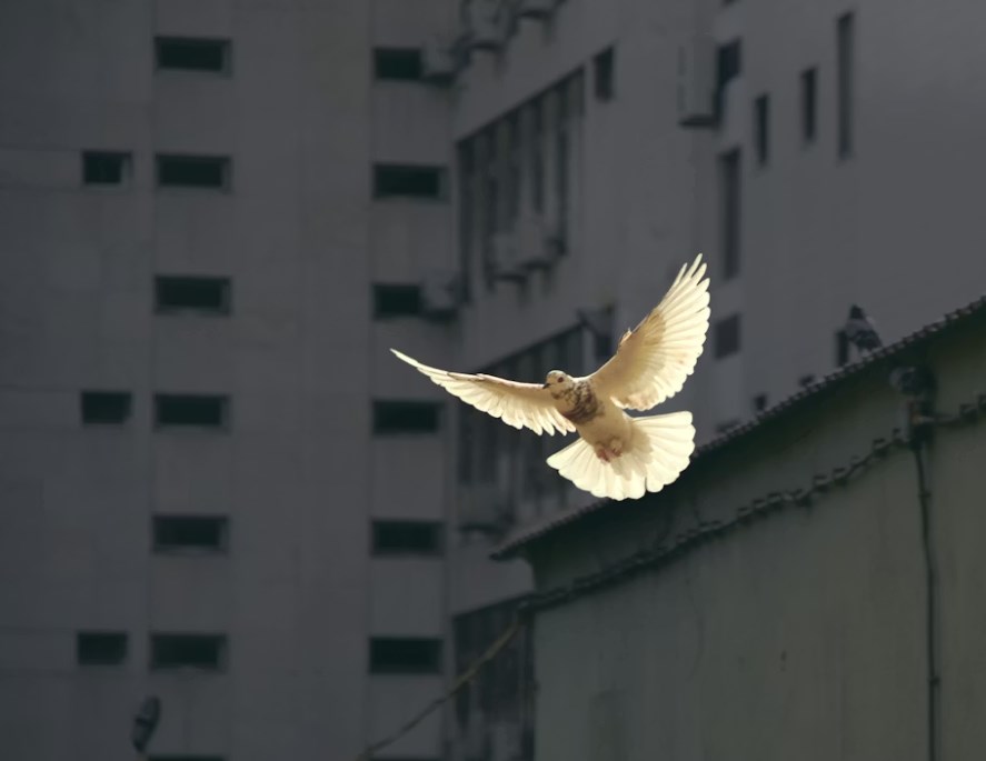 USA a Írán čekají o víkendu mírová jednání, Putin vyhlašuje velikonoční příměří a odpoledne vyjde americká inflace