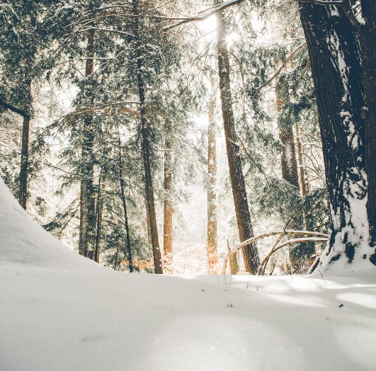 Rozbřesk: Studená zima = jarní a letní doplňování plynových zásob bude dražší než obvykle