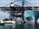 Pro Maersk až nepříjemně klidné moře aneb komentář analytika k výsledkům klíčového přepravce Pro Maersk až nepříjemně klidné moře aneb komentář analytika k výsledkům klíčového přepravce