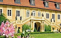 Rok 2009 očima finančních ředitelů: Rok změn, nejistoty a prozíravosti