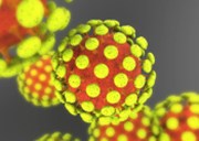Biotechnologie a koronavirus: Hon za léky i testy je v plném proudu