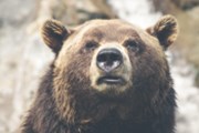 Rally medvědího trhu končí, varuje hlavní stratég Morgan Stanley