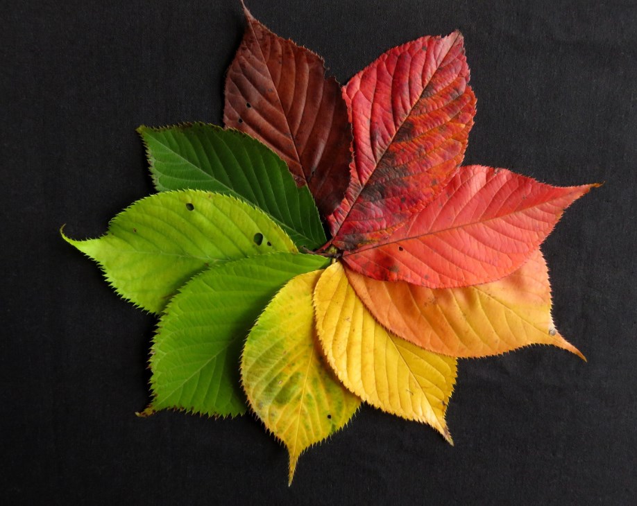 Přichází změna investičního prostředí, reálné sazby by měly být zase v plusu