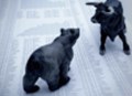 Na Wall Street zůstal poslední medvěd, ten ale očekává pokles trhu o 20 %
