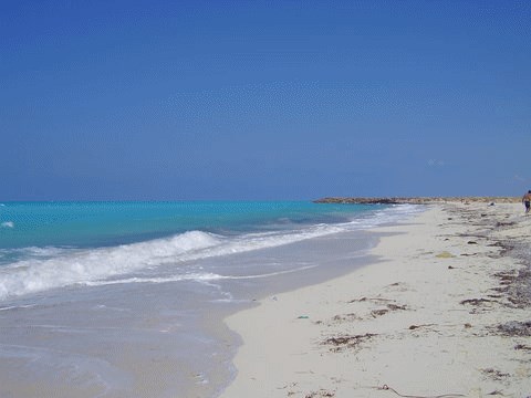 Před létem na ROFF?