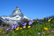 Švýcarsko vyhlásilo cíl stát se do roku 2050 klimaticky neutrální