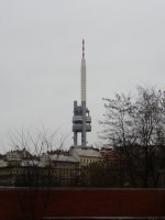 Proč rostou České radiokomunikace?