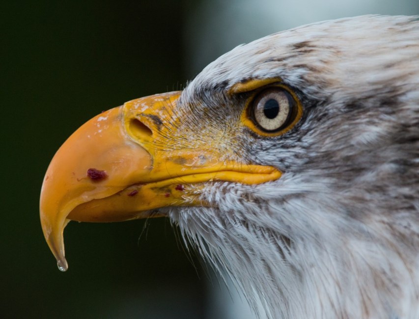 Růst peněžní nabídky zpomaluje, inflační tlaky klesají mnohem více, než jsem čekal, říká ředitel Evercore ISI