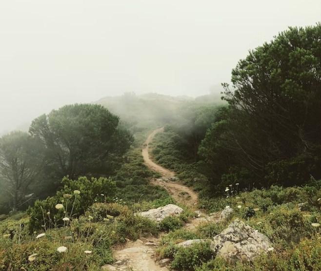 Inflace v eurozóně: Persistence a nejistá cesta k normálu