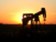 OPEC+ se dohodl na prodloužení škrtů produkce, evropské futures jsou v červeném OPEC+ se dohodl na prodloužení škrtů produkce, evropské futures jsou v červeném