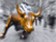 Na Wall Street se dnes hlasitě ozval býk