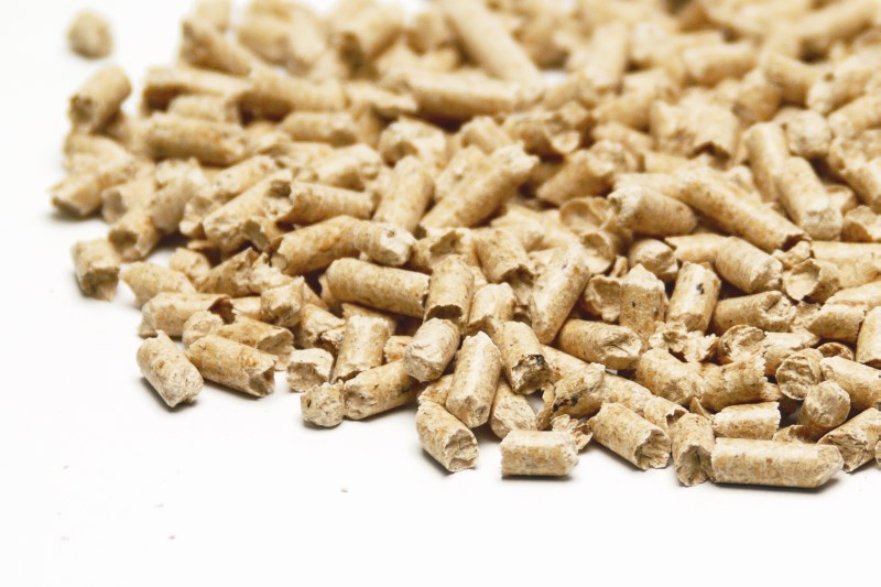 IPO Watch - peletkovému bůžkovi se klaní už i průmyslníci