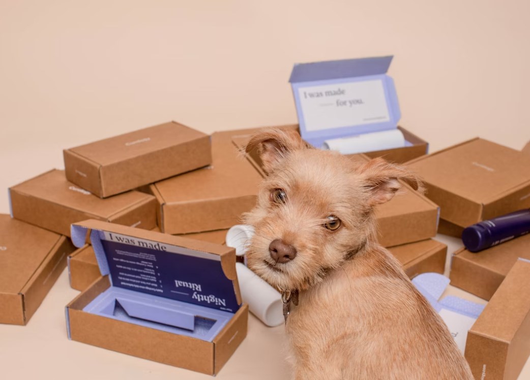 Jakub Blaha: MercadoLibre zrychluje růst díky expanzi, na úrovni zisku však přišlo zklamání