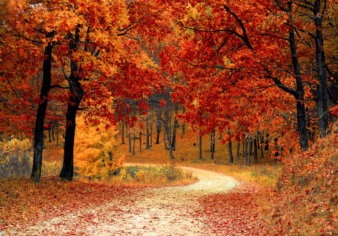 Kombinace mimořádné daně a cenového stropu omezí ziskovost ČEZ, futures jsou dnes červené