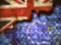 Britští poslanci opět odmítli všechny možnosti řešení brexitu Britští poslanci opět odmítli všechny možnosti řešení brexitu