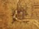 Čínský čipový gigant CXMT při burzovním debutu vystřelil přes 500 %. Překonal i největší banku země Čínský čipový gigant CXMT při burzovním debutu vystřelil přes 500 %. Překonal i největší banku země