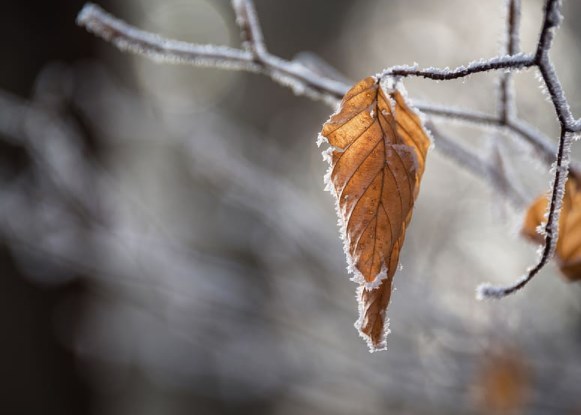 Výhled Fidelity na závěr roku: Po letním zpomalení přijde stagflace