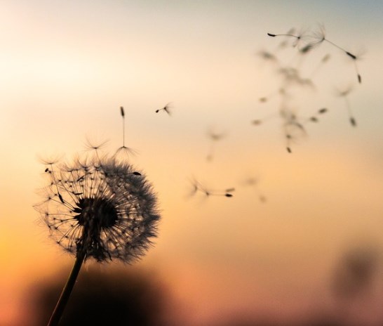 Dnešní ráno na burze nejspíš rozfouká včerejší zisky