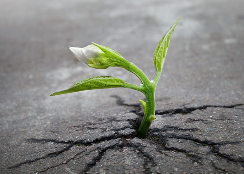 Může akciím dlouhodobě prospívat to, co ekonomice škodí?