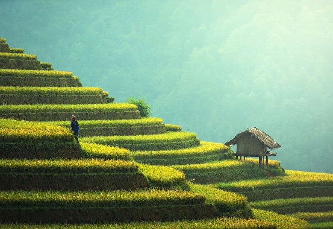 Víkendář: Roach o ochlazení čínské ekonomiky a falešných teoriích, které stojí za tenzemi se Spojenými státy
