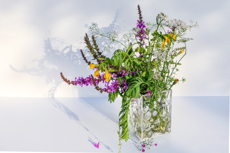 Prokletí upadajících očekávání