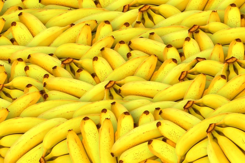 Poučný příběh hrozící bananapokalypsy
