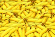 Poučný příběh hrozící bananapokalypsy