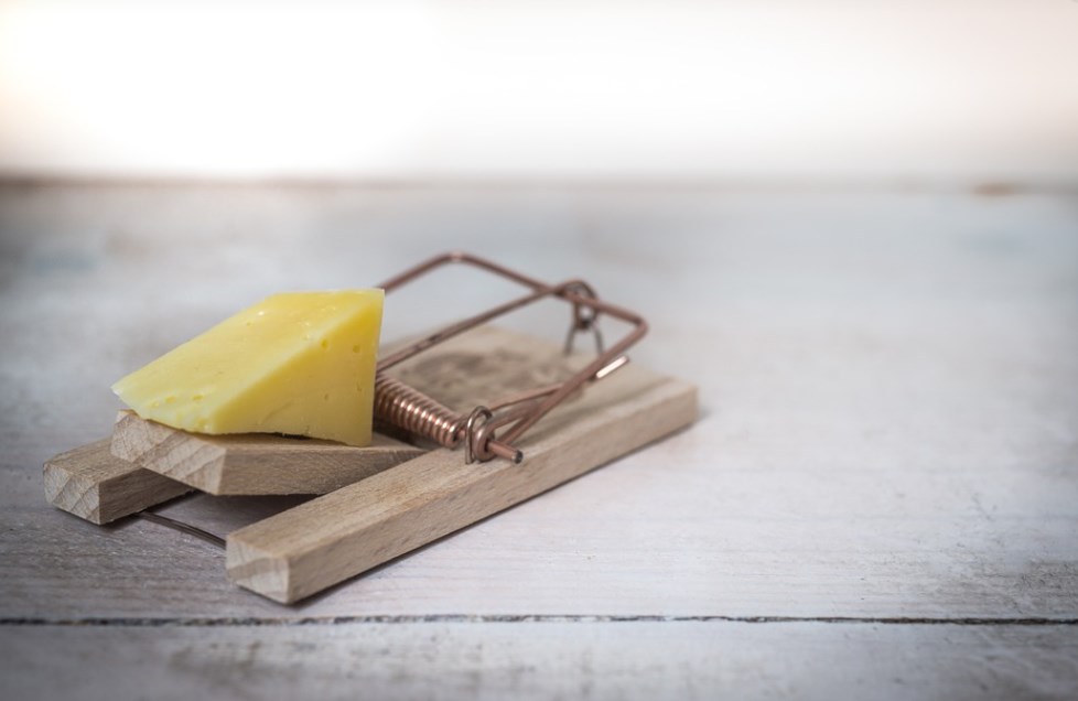 Současná rally na akciích je past na medvědím trhu, varuje stratég z JP Morgan