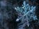 Snowflake předvídá ochlazení prodeje produktů, akcie reagují poklesem Snowflake předvídá ochlazení prodeje produktů, akcie reagují poklesem