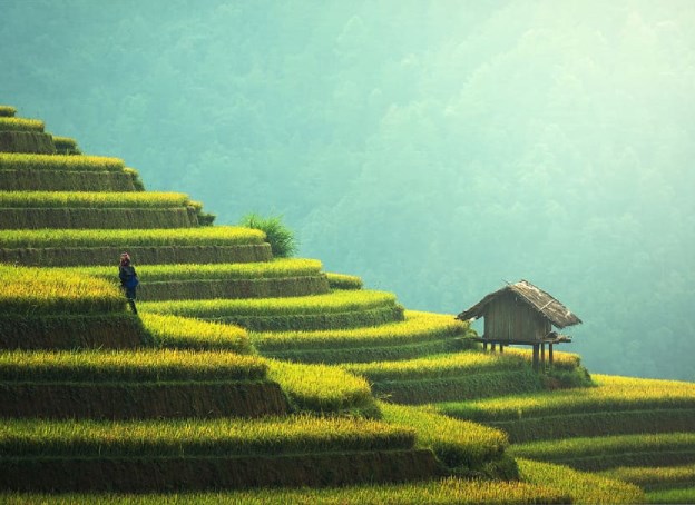 Výnosy v USA půjdou nahoru, do Číny investujte jen s ohledem na vládní strategie, varuje Konyn