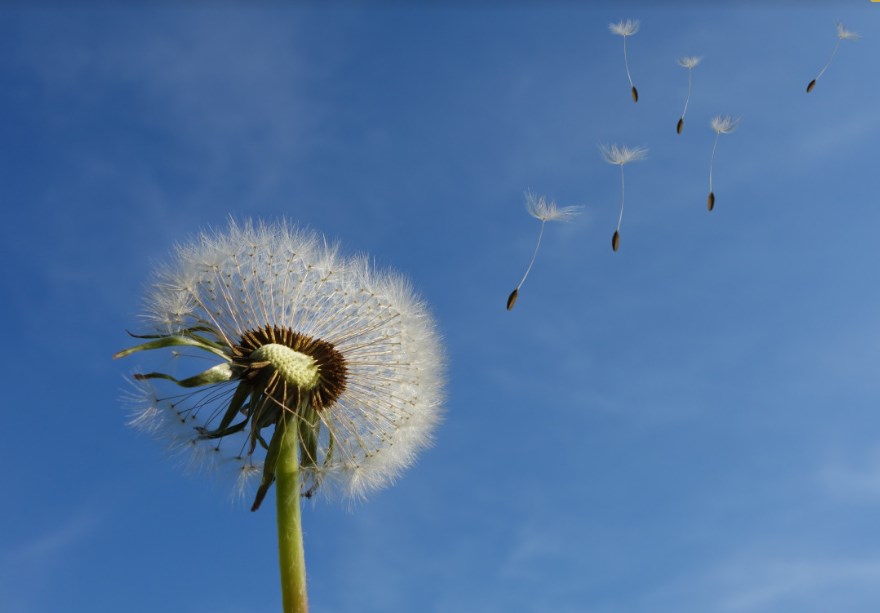 Odkud vane inflační vítr a asymetrie symetrického inflačního cíle