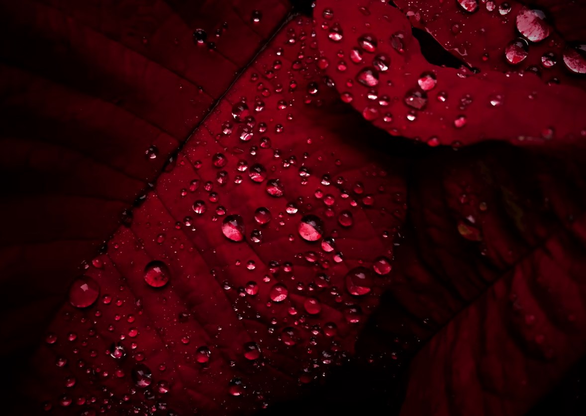 IPO CSG již pokryto, účast retailu stále nejasná. Americké futures temně rudé