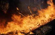 El País: Vypalování lesů v Amazonii je výnosný ilegální obchod