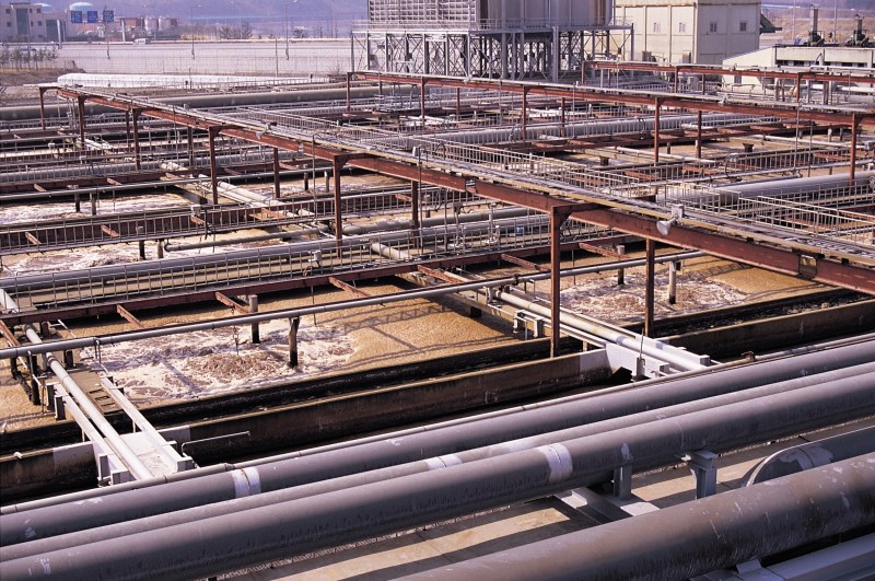 Condmag - 2Q09 results preview