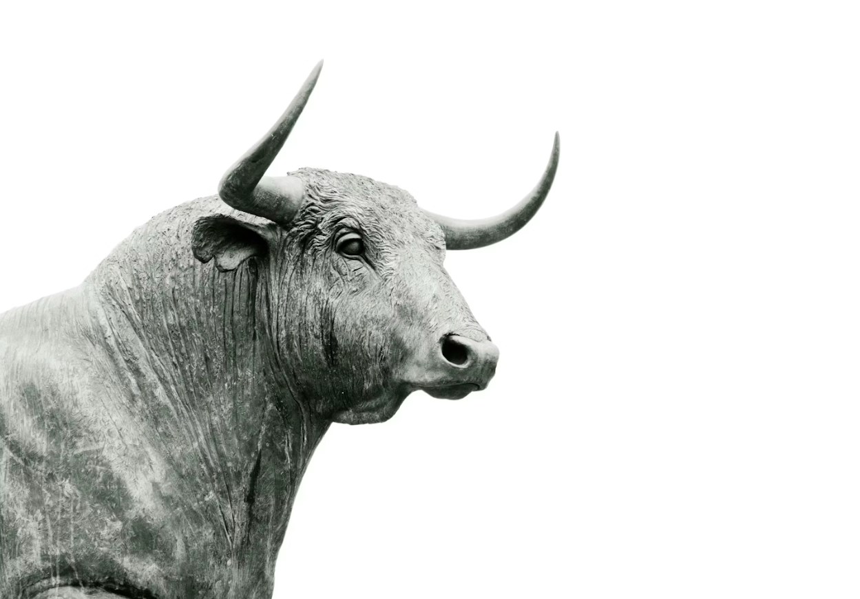 Morgan Stanley: Trhy budou Fedu diktovat, co má dělat. Akcie míří k novým rekordům