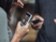 Nokia je zpět. Blbuvzdorný telefon nemá internet a vydrží 31 dní Nokia je zpět. Blbuvzdorný telefon nemá internet a vydrží 31 dní