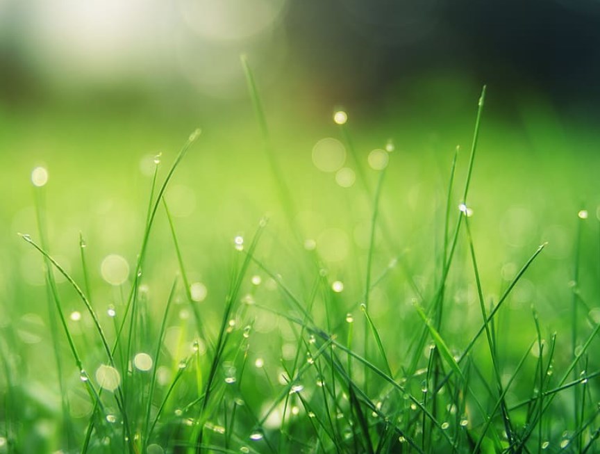 Futures přejí zelenému otevření trhů, německá průmyslová výroba zklamala