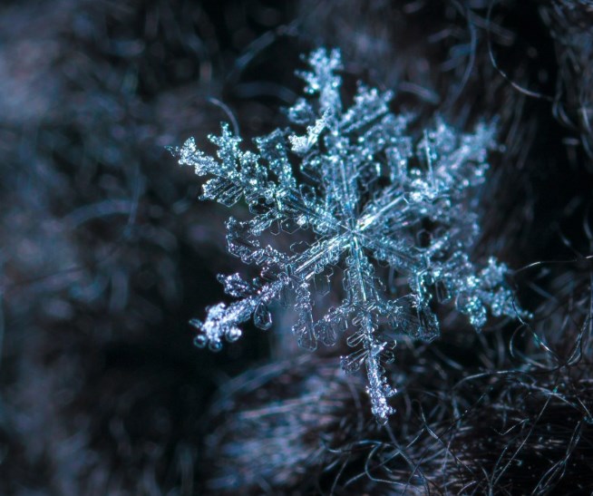 Rozbřesk: Nálada na bodu mrazu