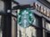 Jakub Blaha: Starbucks vykazuje mírné známky zlepšení Jakub Blaha: Starbucks vykazuje mírné známky zlepšení