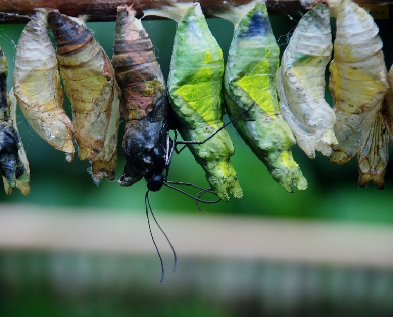 Změna investičního a ekonomického režimu – část první