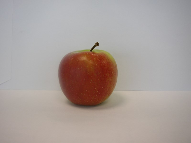 V ruské sněmovně je návrh zrušit zákaz dovozu potravin